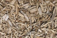 biomass boilers Tattersett